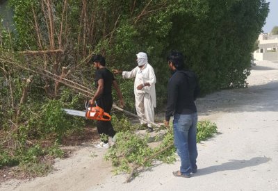 بلدية الشمالية: إزالة ٢٥ شجرة تخفي مخالفات بناء في مدينة حمد