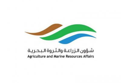 الثروة النباتية": فحص 49,301 نخلة وفسيلة وتسجيل” 198 إصابة بـ "سوسة النخيل