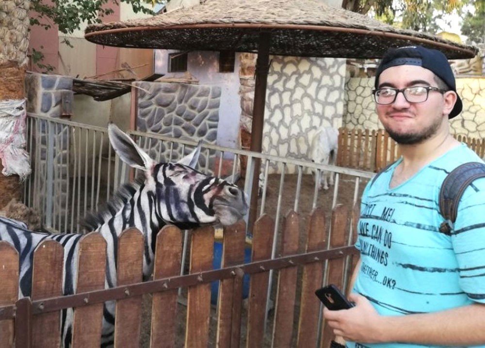 ما حقيقة الحمار الوحشي "المزيف" في الحديقة الدولية بمصر؟