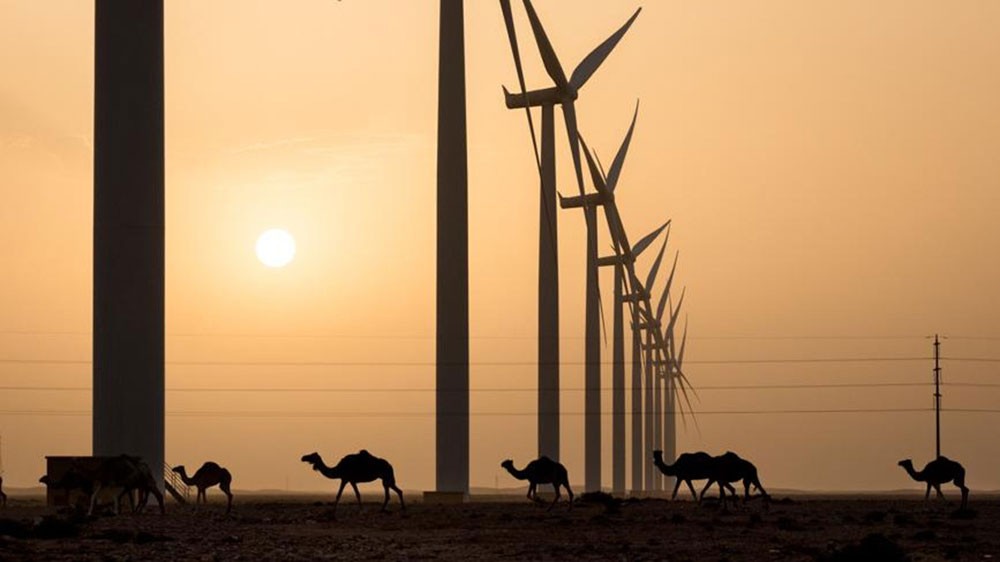 السعودية تقيّم عروض مشروع لطاقة الرياح بنصف مليار دولار