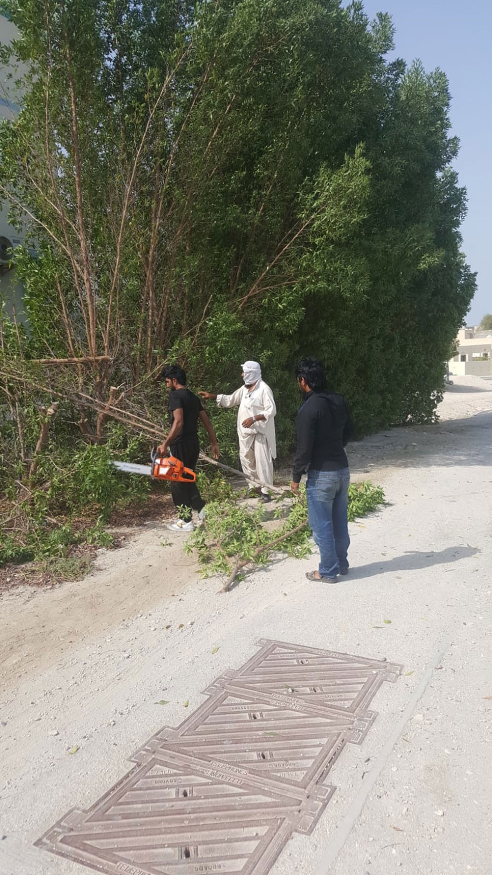 بلدية الشمالية: إزالة ٢٥ شجرة تخفي مخالفات بناء في مدينة حمد