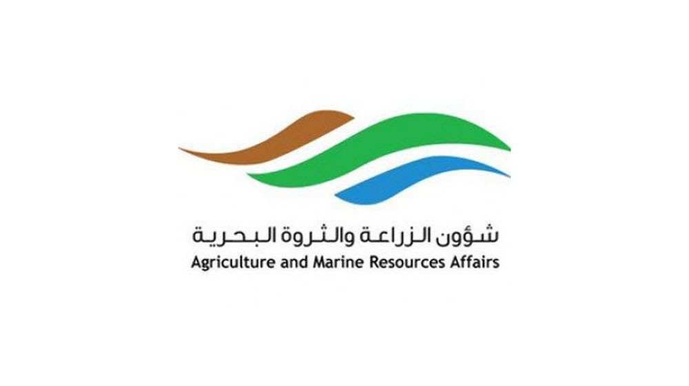 الثروة النباتية": فحص 49,301 نخلة وفسيلة وتسجيل” 198 إصابة بـ "سوسة النخيل