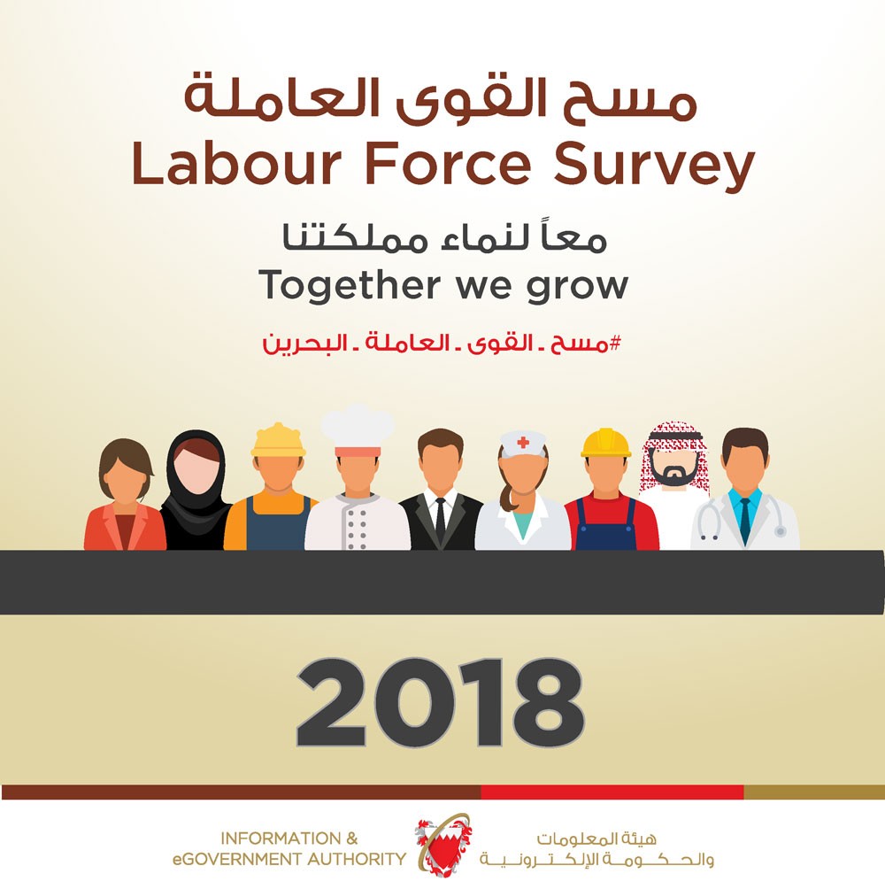 هيئة المعلومات تواصل تنفيذ مسح القوى العاملة 2018