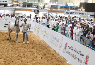الإمارات تحتفي بـ "زايد" في معرض أبوظبي الدولي للصيد والفروسية 2018