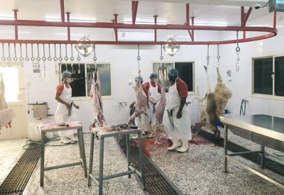 "الصحة الحيوانية" تحذر من التعامل مع أماكن الذبح العشوائية