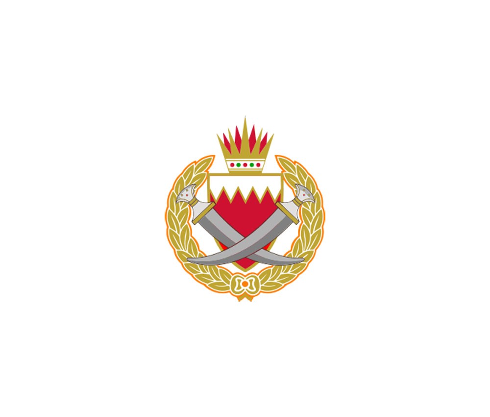 القبض على عصابة متورطة بسرقة وإتلاف عدد من المركبات بالشمالية