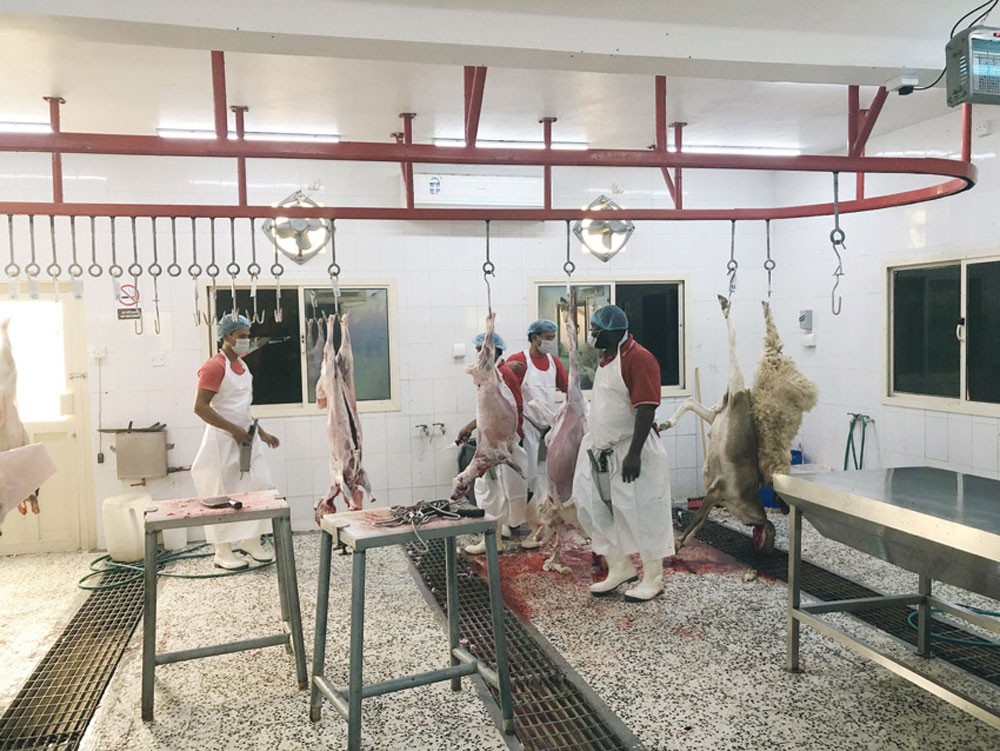 "الصحة الحيوانية" تحذر من التعامل مع أماكن الذبح العشوائية