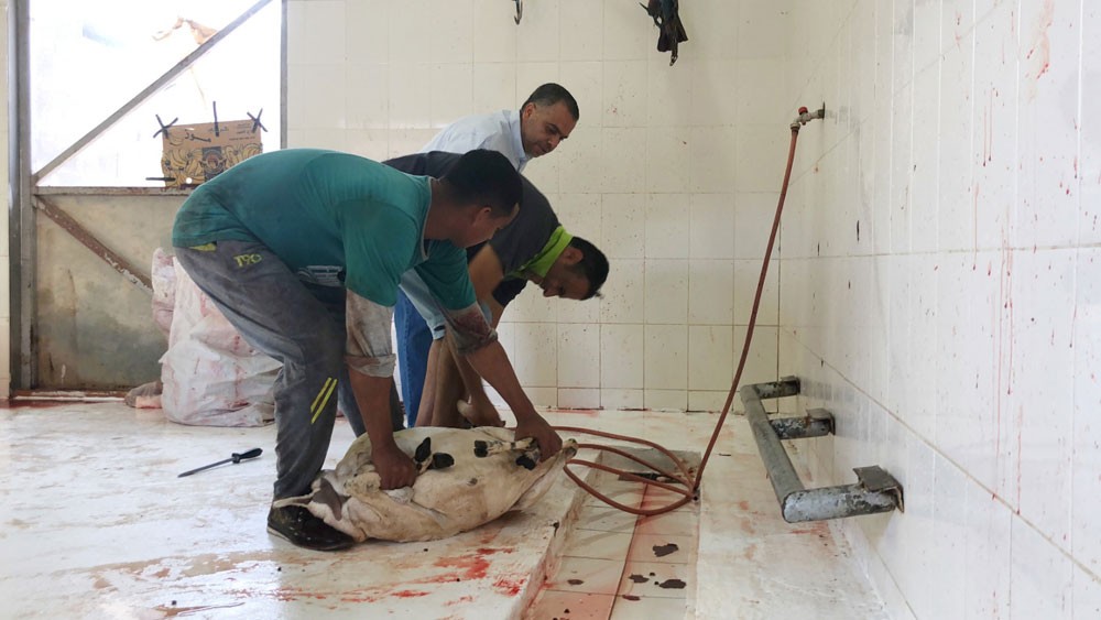 «المرخ الخيرية» تنفذ «مشروع الأضحية»