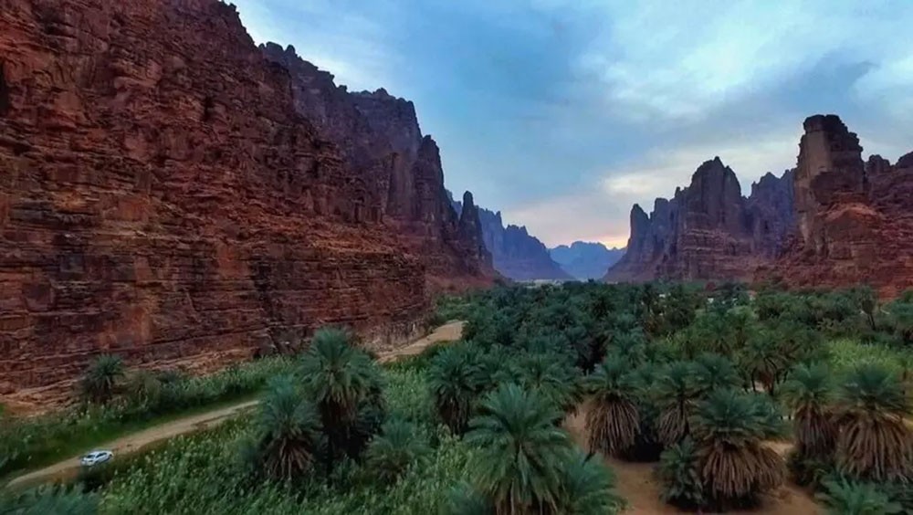 السعودية تبدأ تطوير مخطط "نيوم" أضخم مشاريع المنطقة