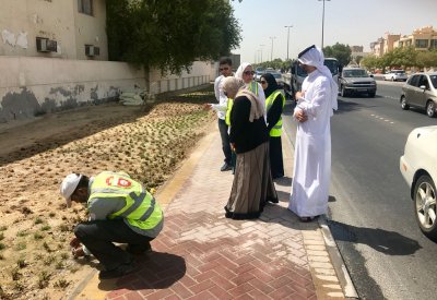 أمانة العاصمة تنتهي من تشجير شارع 35 بالمنامة