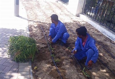 "الجنوبية" تعمل على تطوير وتجميل شوارع مدينة عيسى