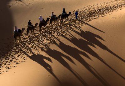علماء يحولون الصحراء إلى محطة طاقة عملاقة