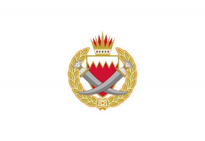 "المباحث والأدلة الجنائية" : القبض على 14 إيرانيا دخلوا البلاد بجوازات سفر آسيوية مزورة وبأسماء غير حقيقية