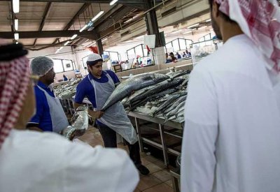 طبق إماراتي ينافس الكافيار في فوائده