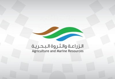 الزراعة: إيقاف مؤقت لاستيراد الفراولة الطازجة من استراليا