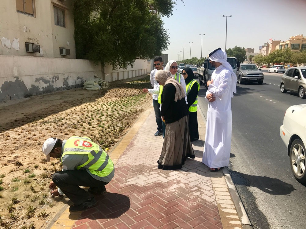 أمانة العاصمة تنتهي من تشجير شارع 35 بالمنامة