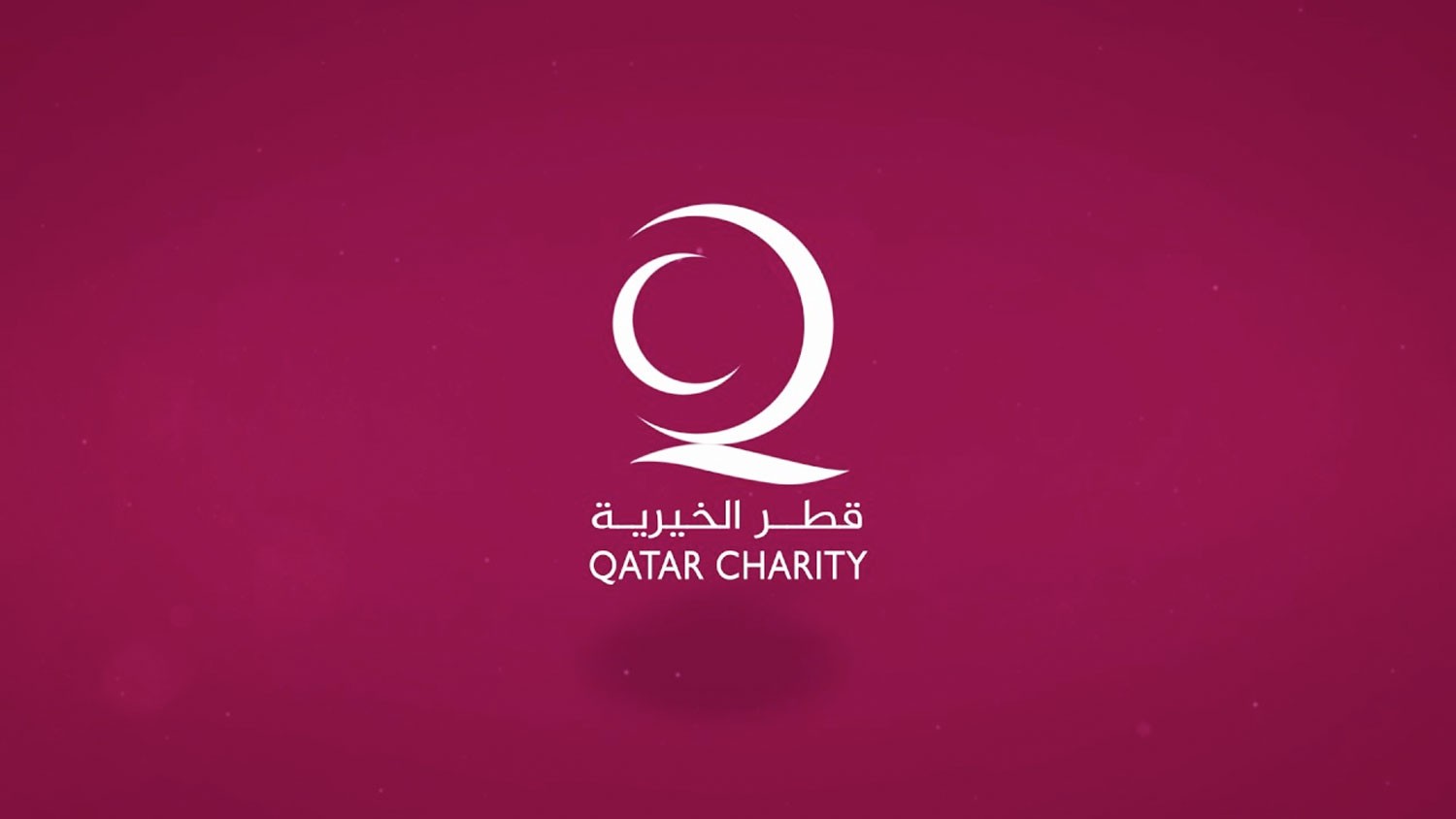 كوسوفو توقف عمل مؤسسة "قطر الخيرية"