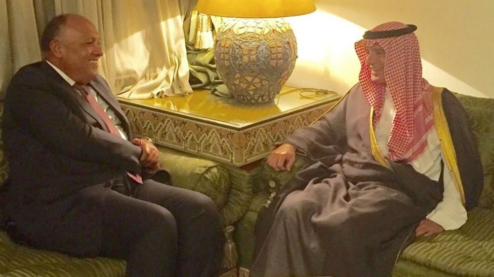 تنسيق سعودي مصري لمواجهة التدخل الخارجي بالمنطقة