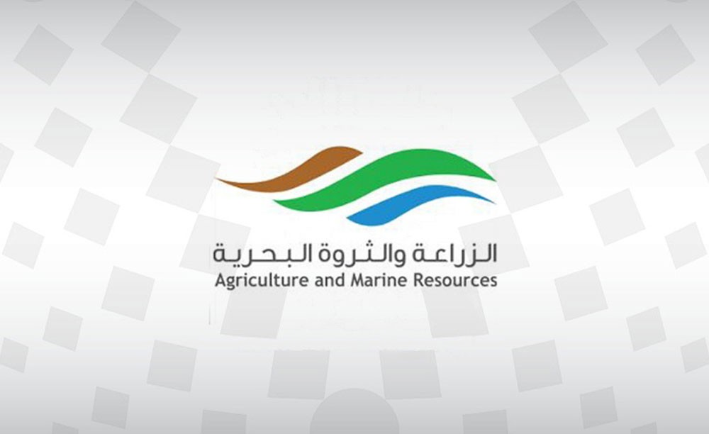 الزراعة: إيقاف مؤقت لاستيراد الفراولة الطازجة من استراليا