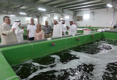 وكيل "الزراعة" : استثمار القطاع الخاص في الاستزراع السمكي يساهم في حماية البيئة البحرية