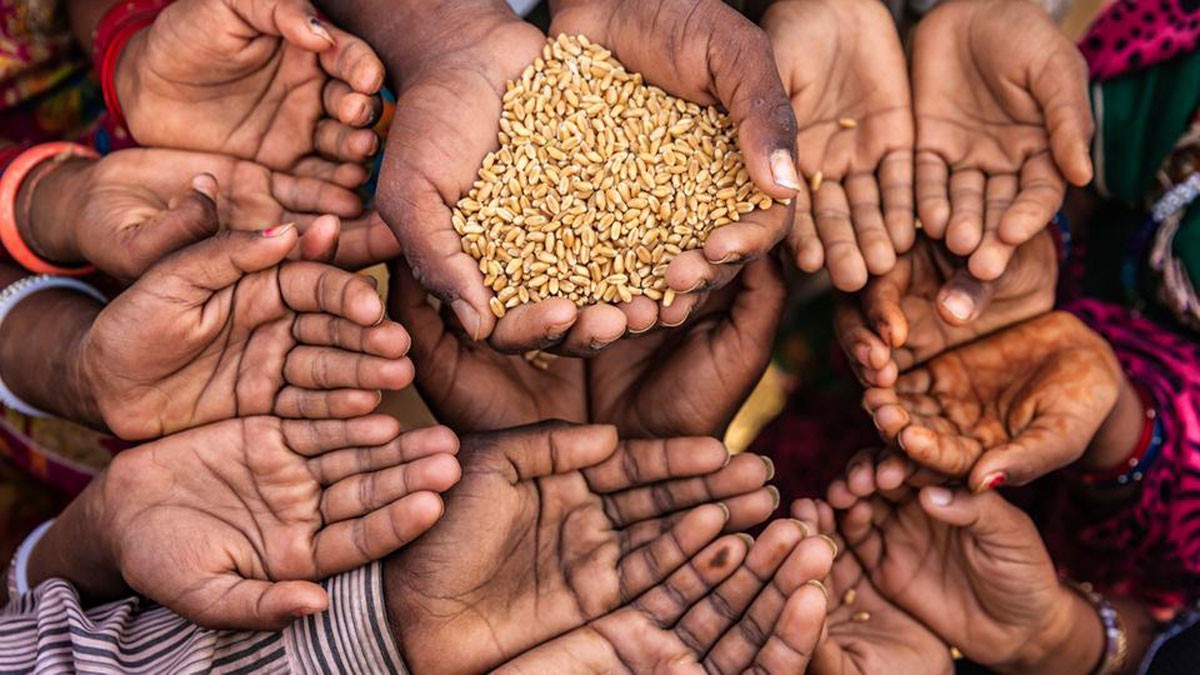 مليون طن مخبوزات بالقمامة و815 مليون جائع في الشوارع!