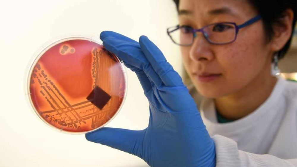 مقاومة المضادات الحيوية.. خطر ينذر بقتل الملايين في 2050