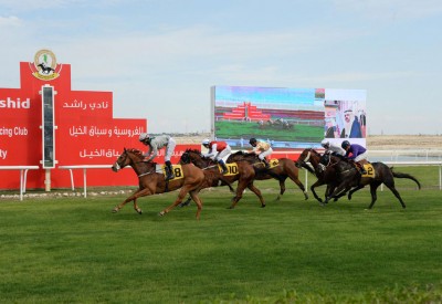 صراع قوي بين الجياد للفوز بكأسي " العفو" والصخير