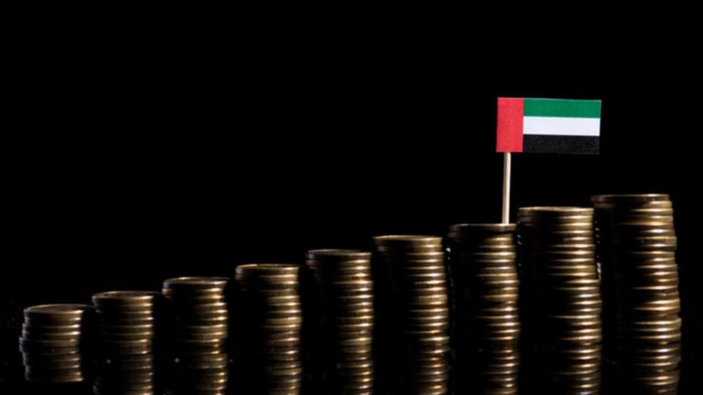 الإمارات.. الاستثمار الأجنبي سينمو 20% بـ2019