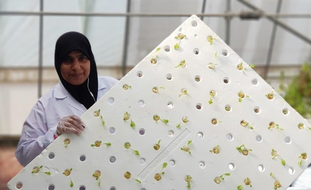 الخيرية الملكية تدرب نسائها على إدارة مشاريع زراعية وإنتاج المحاصيل