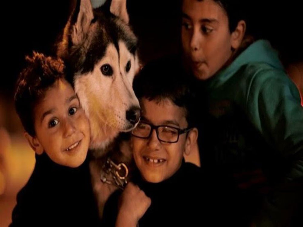 سوق الأحد: طرابلس يشارك مهرجان جامعة سيدة اللويزة السينمائي