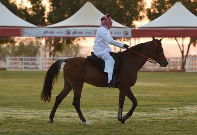 الكعبي يتأهل للشوط النهائي من "فارس الموروث"