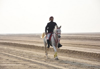 فارس الموروث تختتم المجموعة الثانية بالخيل والرماية