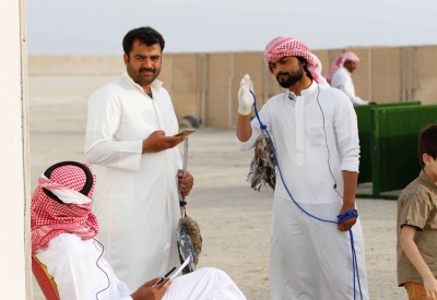 20 مالكًا يفوزون بمسابقتي الحرار والشواهين للقرانيس
