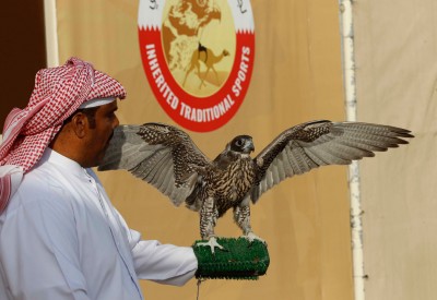 ختام مميز لكأس محمد بن ناصر للقرانيس بعشرين فائزًا جديدًا