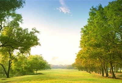 المساحات الخضراء تخفف التوتّر