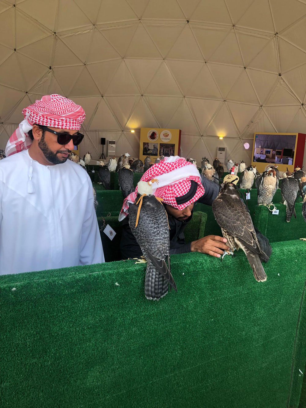 انطلاق مسابقتي التأهيل للحرار والشواهين