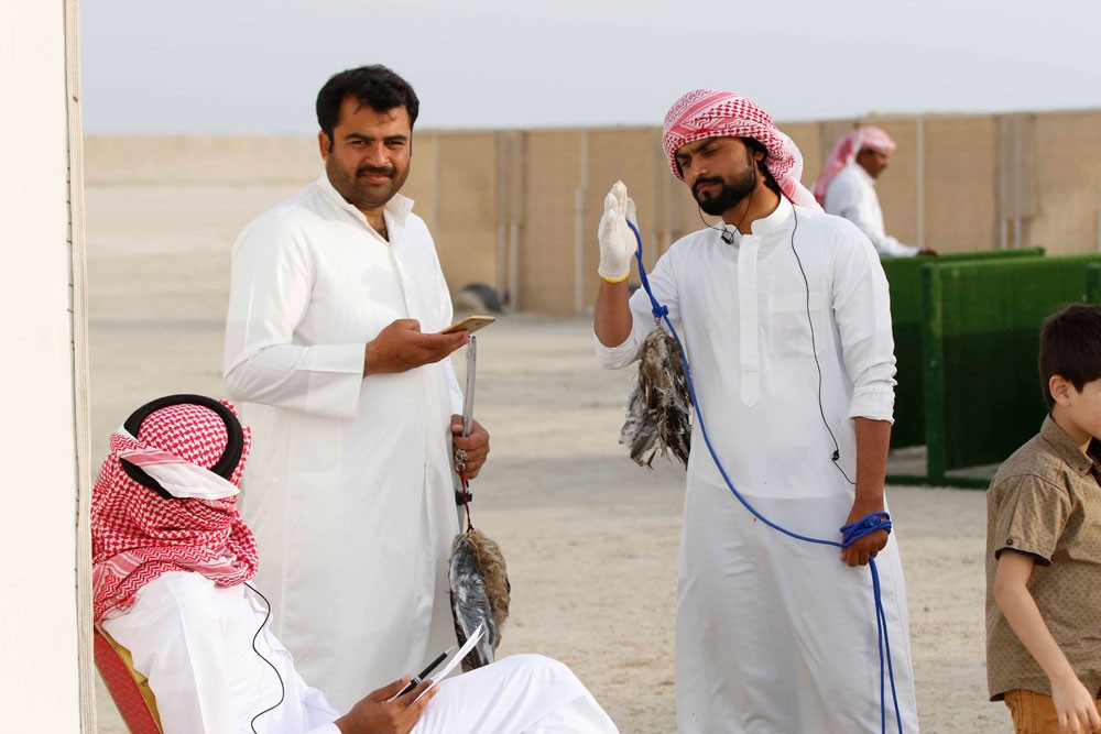 20 مالكًا يفوزون بمسابقتي الحرار والشواهين للقرانيس