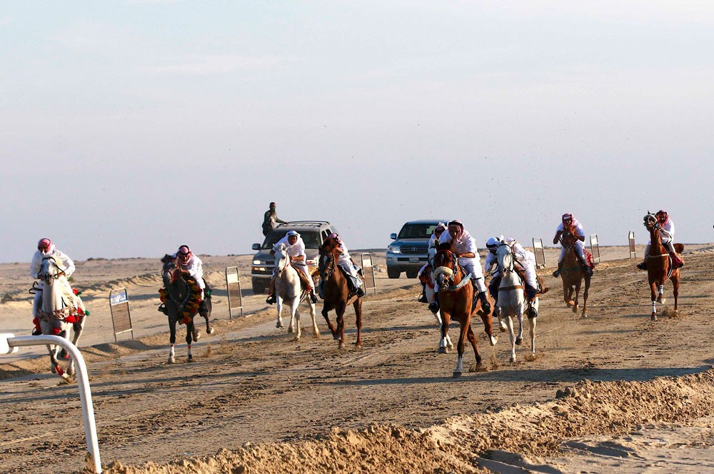 لجنة الموروث تقيم سباق الخيل العربي ومزاين للإبل