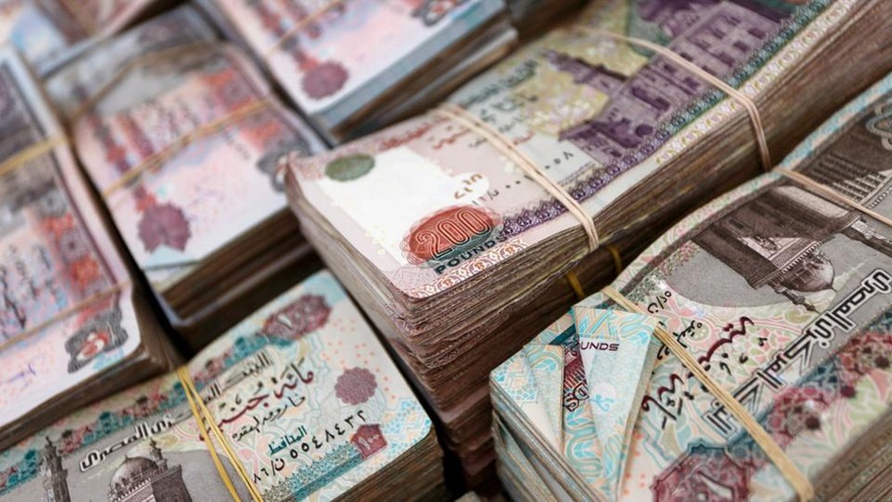 كم تبلغ مساهمة القطاع العائلي بودائع البنوك المصرية؟