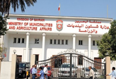 الاستئناف العليا تقضي لصالح "البلديات" في قضية استملاك أرض في الشاخورة