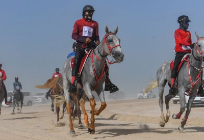 لأول مرة سباق الاسطبلات الخليجية مع جوائز قيمة في مهرجان كاس الملك