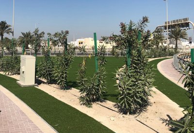 بلدية "الجنوبية" تُجمل مثلث المنطقة التعليمية بمدينة عيسى