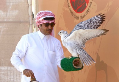 منافسات قوية في بطولة سمو الشيخ حمدان بن ناصر للصقور