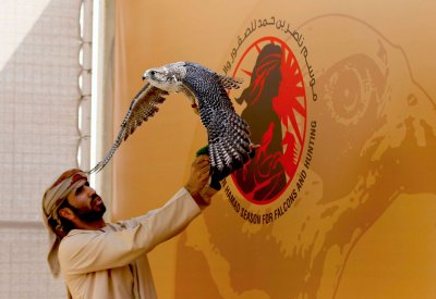 صقارو الإمارات يواصلون التألق في بطولة ناصر بن حمد للصقور