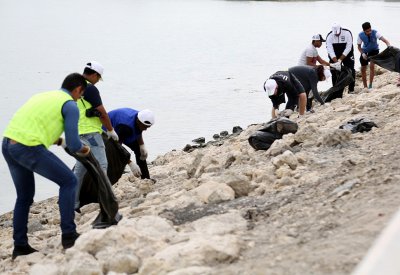 محافظة العاصمة تواصل الحملة البيئية لتنظيف سواحل العاصمة في العكر