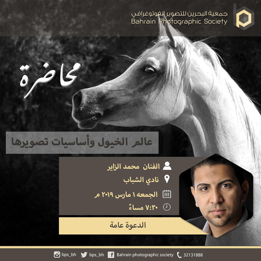 جماليات الخيل العربي وأساسيات تصويرها