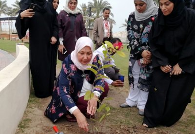 أمانة العاصمة تؤكد على اهمية التشجير في التنمية المستدامة