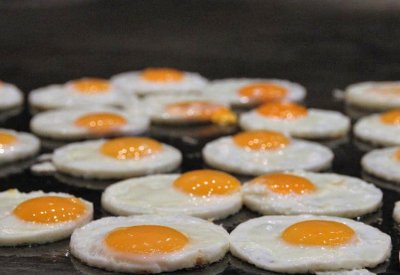 أخيرا.. دراسة تحسم "مخاطر البيض"