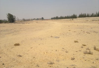 رفض دعوى مالك 5 أراض "قيد الدارسة" يطالب بتصنيفها "صناعية"