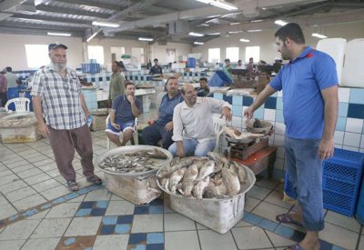 الثروة السمكية: كميات الأسماك المستزرعة في المركز الوطني وفيرة